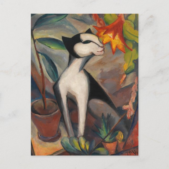 Carte Postale Katze mit Kakteenblute par Maetzel-Johannsen (Devant)