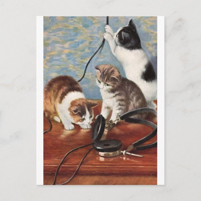 Carte Postale Katze Vintage (Devant)