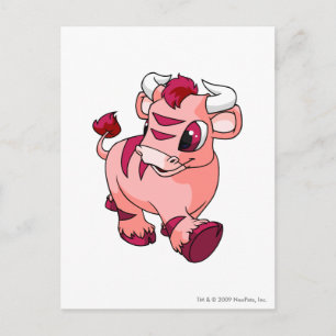 Carte Postale Kau rose