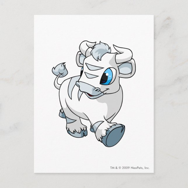 Carte Postale Kau White (Devant)