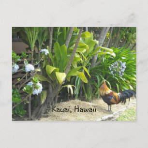 Carte Postale Kauai, Hawaii