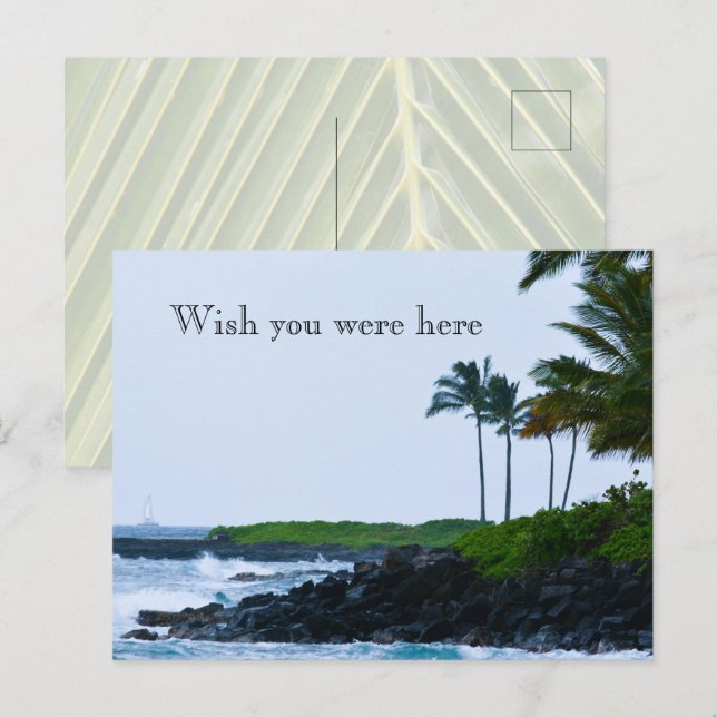 Carte Postale Kauai Hawaii Koloa Océan Palmiers (Devant / Derrière)