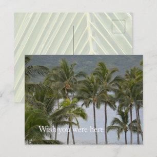 Carte Postale Kauai Hawaii Lihue Palm Trees Océan