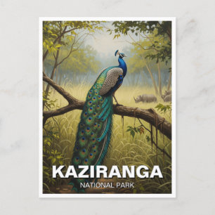 Carte Postale Kaziranga National Park Assam Inde Travel