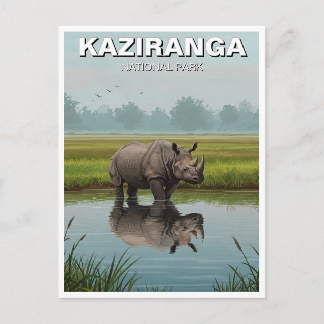 Carte Postale Kaziranga National Park Assam Inde Travel (Devant)