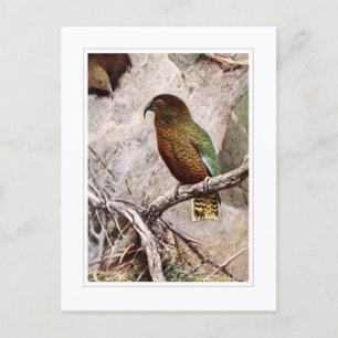 Carte Postale Kea