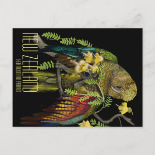 Carte Postale Kea New Zealand Mountain Parrot