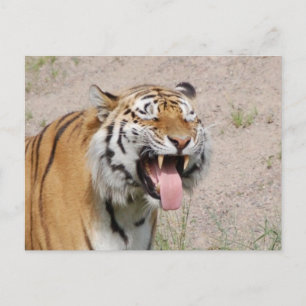 Carte Postale Keep Smiling Postcard