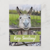 Carte postale "Keep Smiling" pour âne souriant