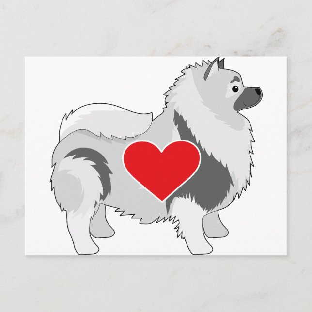 Carte Postale Keeshond (Devant)