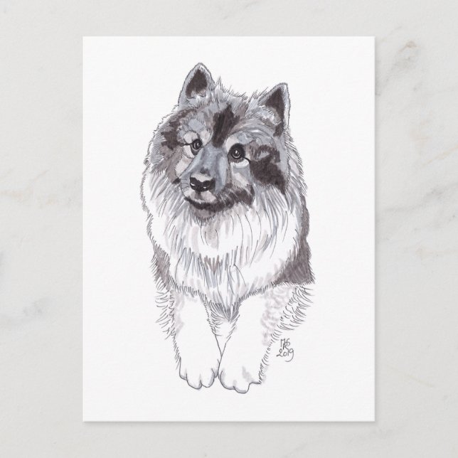 Carte postale Keeshond Doggust 2019 (Devant)