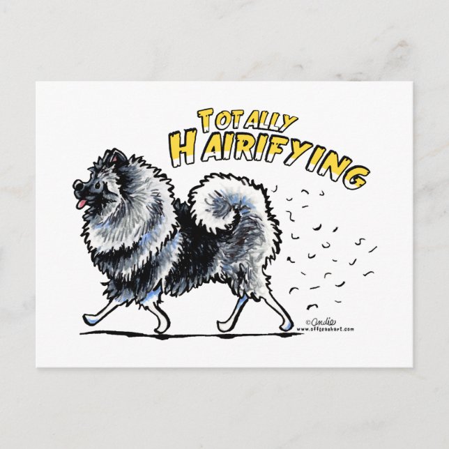 Carte Postale Keeshond Totalement Poilu (Devant)