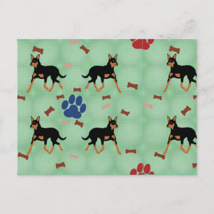 Carte Postale Kelpie australienne
