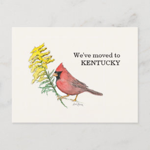 Carte Postale Kentucky
