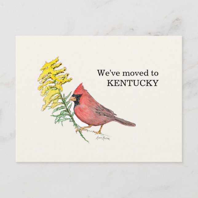 Carte Postale Kentucky (Devant)