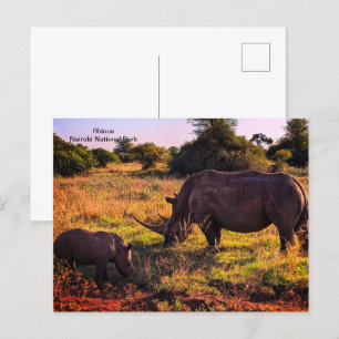 Carte postale Kenya