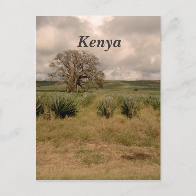 Carte Postale Kenya (Devant)