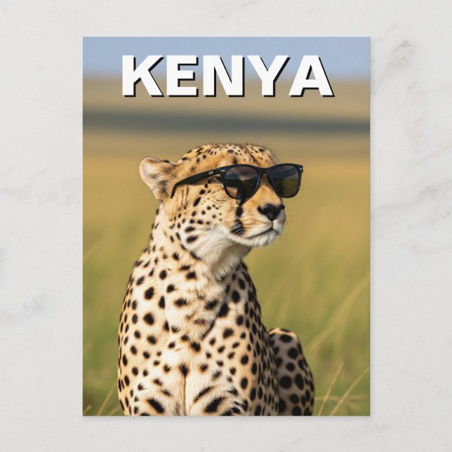 Carte Postale Kenya Masai Mara Cheetah avec lunettes de soleil (Devant)