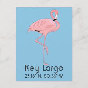 Carte Postale Key Largo FL Keys Flamant rose Latitude Longitude
