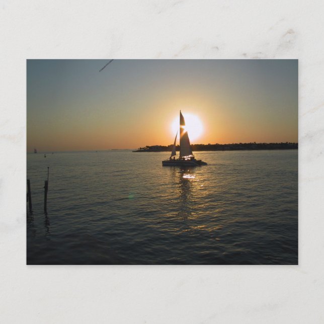Carte Postale Key West (Devant)
