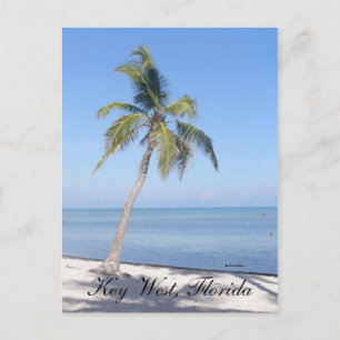Carte Postale Key West, Floride
