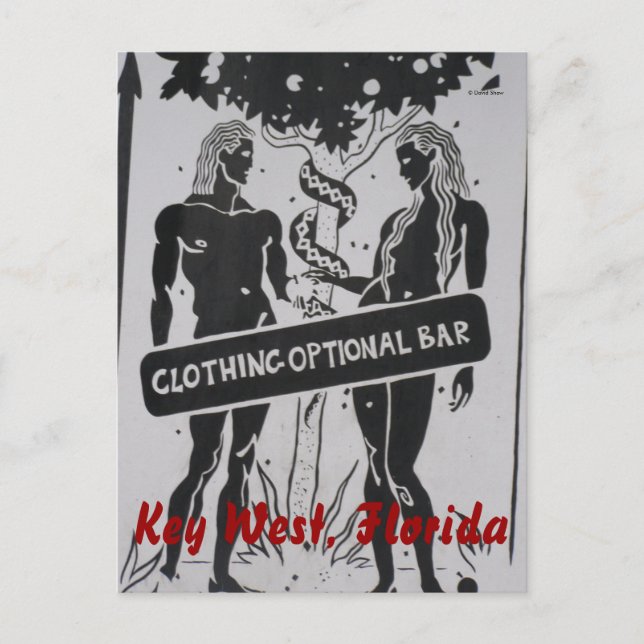 Carte Postale Key West, Floride (Devant)