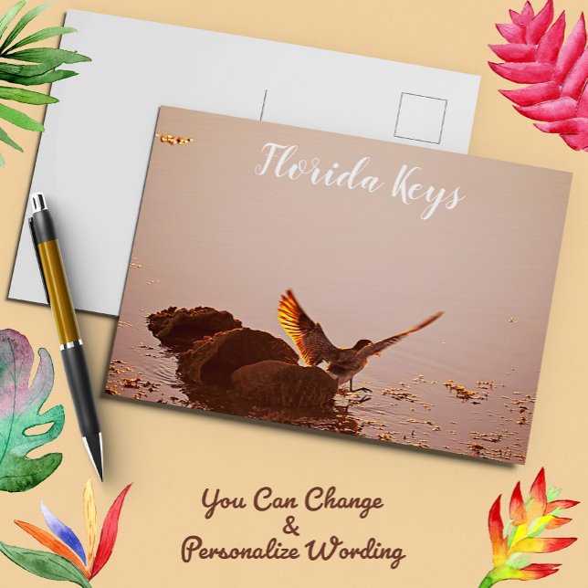 Carte Postale Key West Shorebird Sunset Rocks Keys de Floride (Créateur téléchargé)