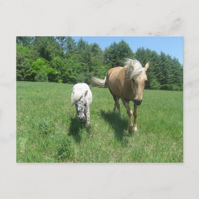 Carte Postale Khrysta et cash (Devant)