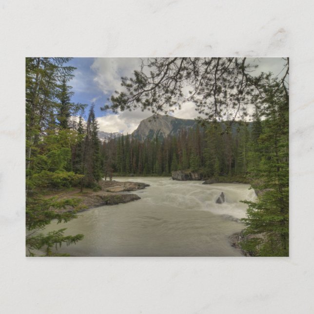 Carte Postale Kicking Horse (Devant)