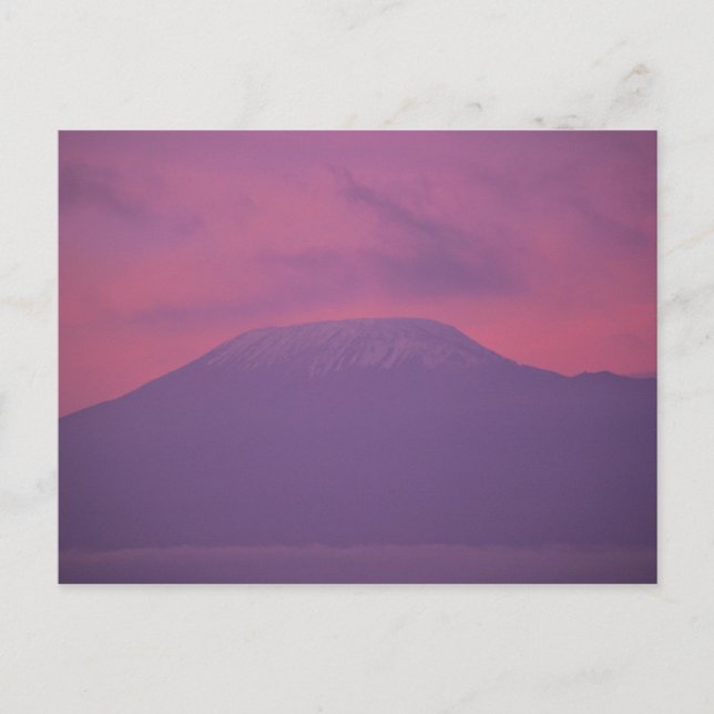 Carte Postale Kilimandjaro à Dawn (Devant)