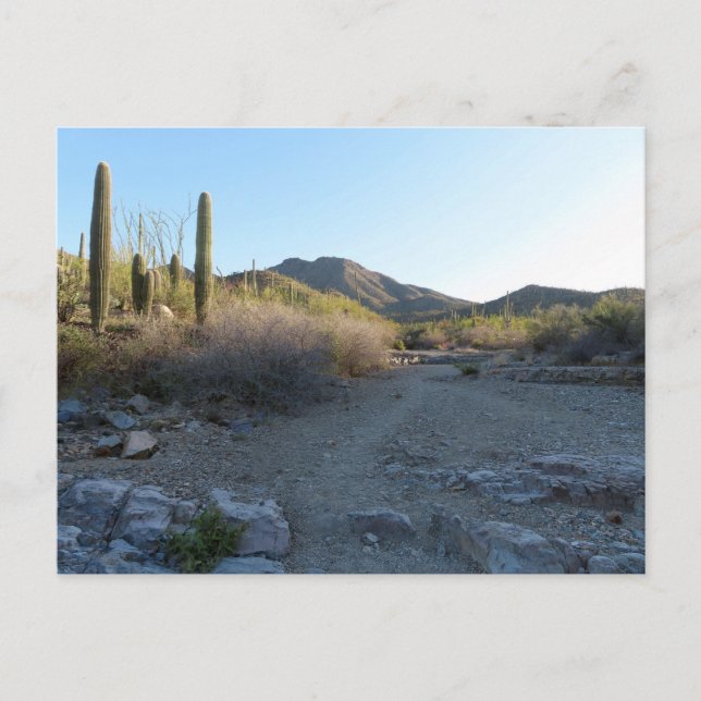 Carte Postale King Canyon Trail I (Devant)