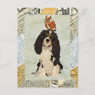 Carte postale King Cavalier & Owl