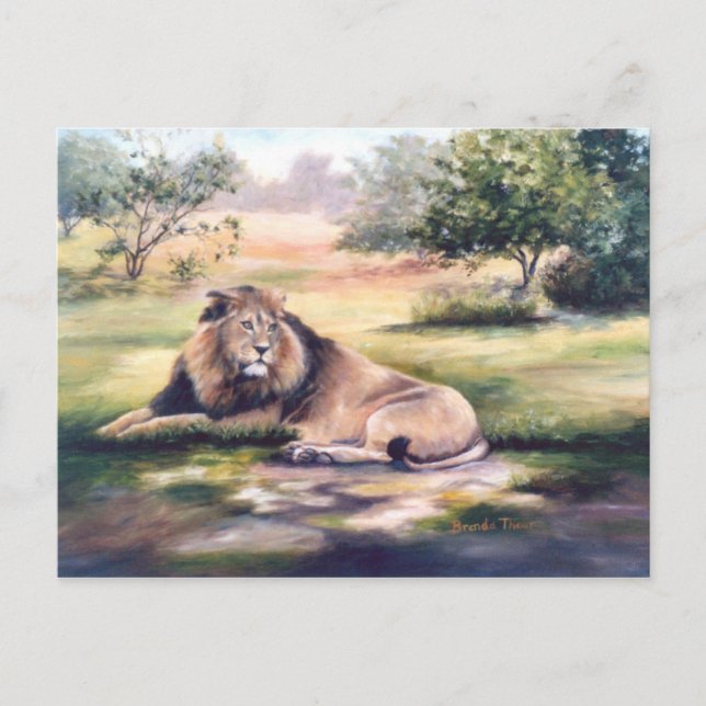 Carte postale King Lion (Devant)