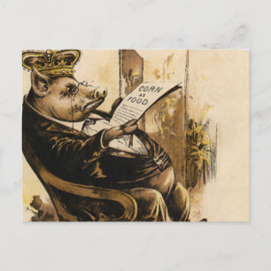 Carte Postale King Pig Lit Son Journal