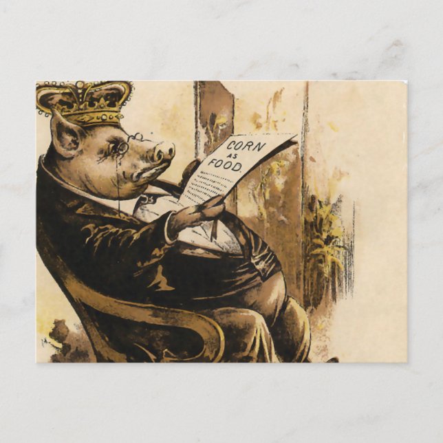 Carte Postale King Pig Lit Son Journal (Devant)