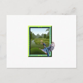 Carte Postale Kingfisher
