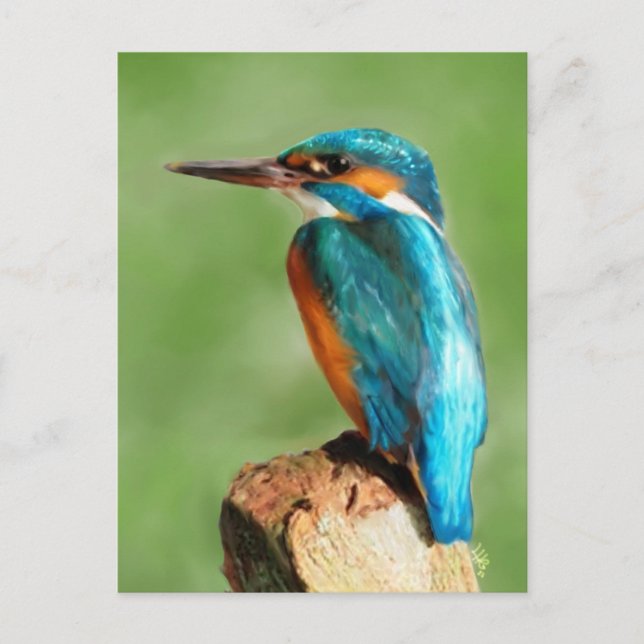 Carte Postale Kingfisher (Devant)