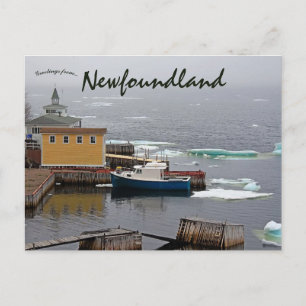 Carte Postale King's Point Terre-Neuve Canada