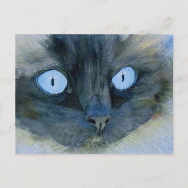 Carte Postale Kismet le chat Ragdoll (Devant)