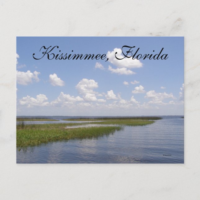 Carte Postale Kissimmee, Floride (Devant)