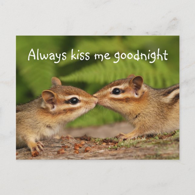 Carte postale Kissing Baby Chipmunks (Devant)