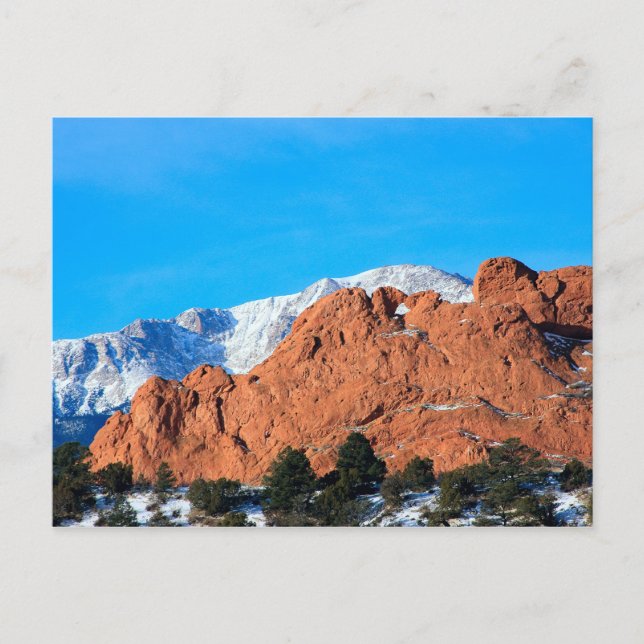 Carte Postale Kissing Camels dans le jardin du parc des Dieux (Devant)