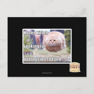 Carte Postale Kitteh de vol plané