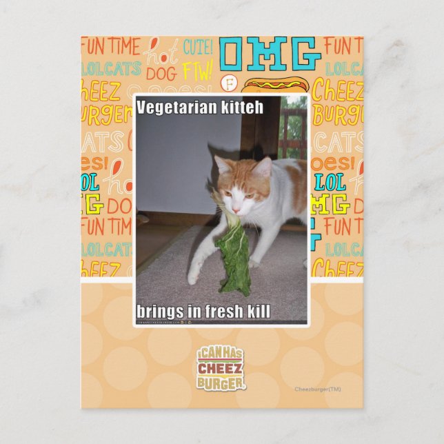 Carte Postale Kitteh végétarien (Devant)