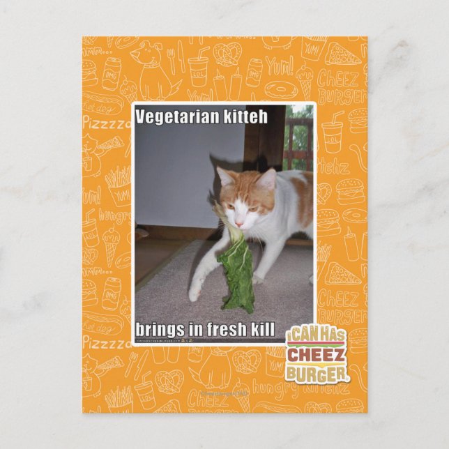 Carte Postale Kitteh végétarien (Devant)