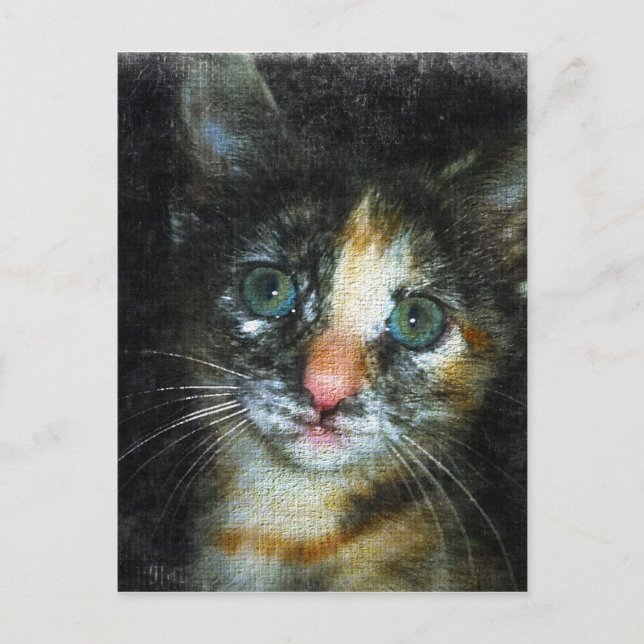 Carte Postale Kitten (Devant)