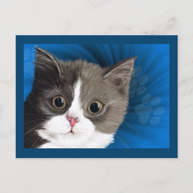 carte postale kitten (Devant)