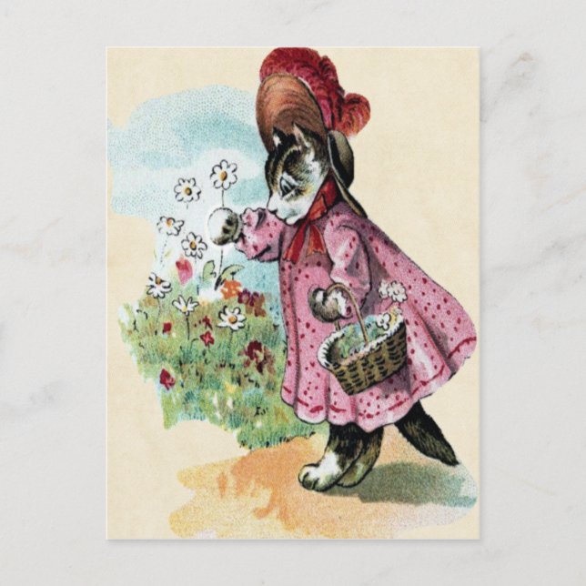 Carte postale Kitten (Devant)