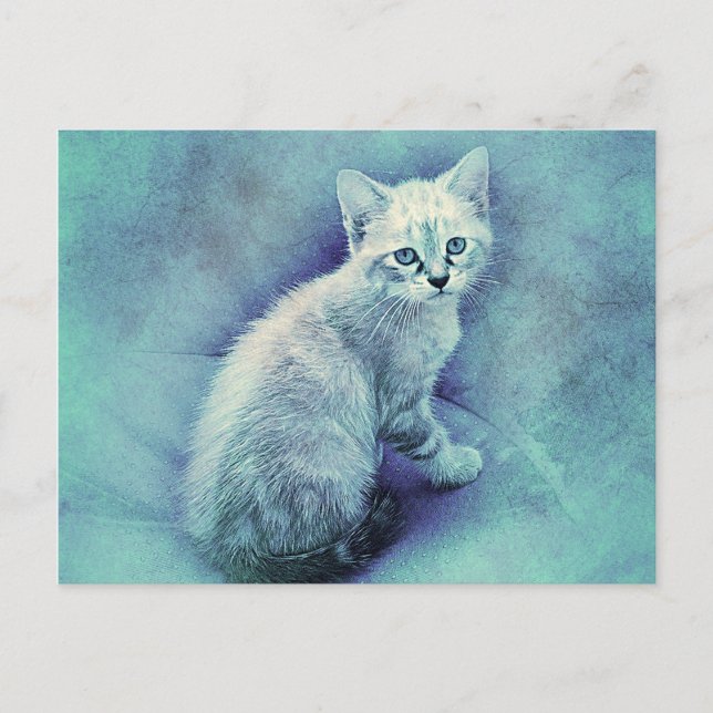 Carte Postale Kitten bleu | ABSTRAIT | Aquarelle (Devant)