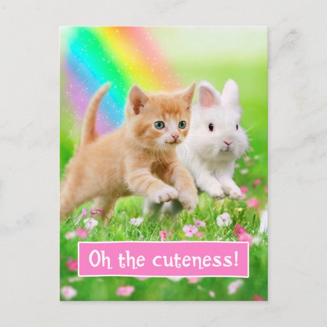 Carte Postale Kitten & Bunny avec arc-en-ciel (Devant)